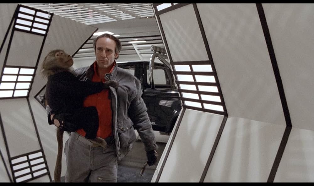 NINJA U.S.A.の画像