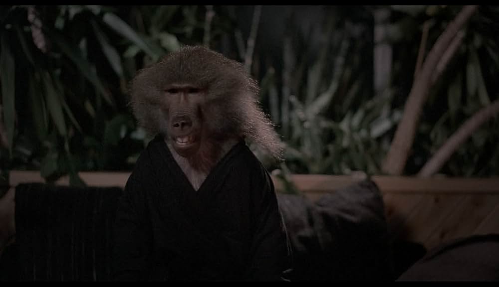 NINJA U.S.A.の画像