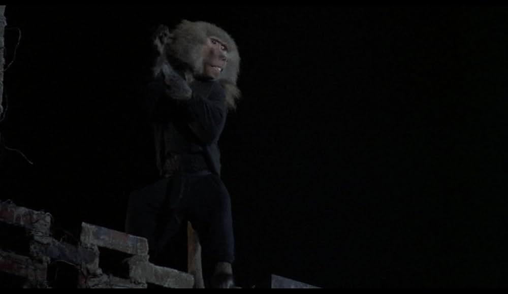 NINJA U.S.A.の画像