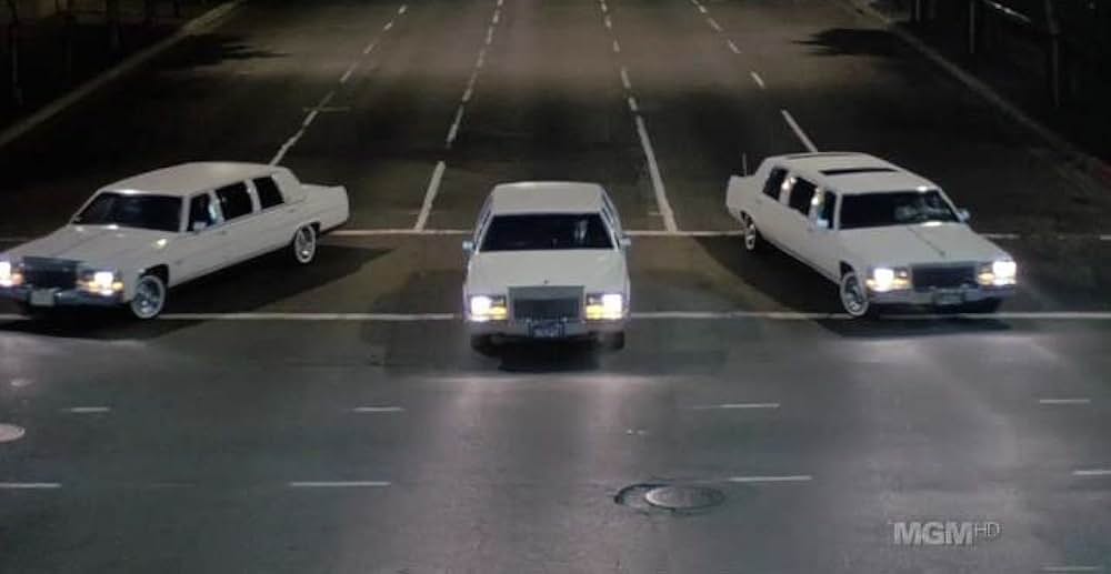 シンシア・ギブの モダン・ガールズの画像