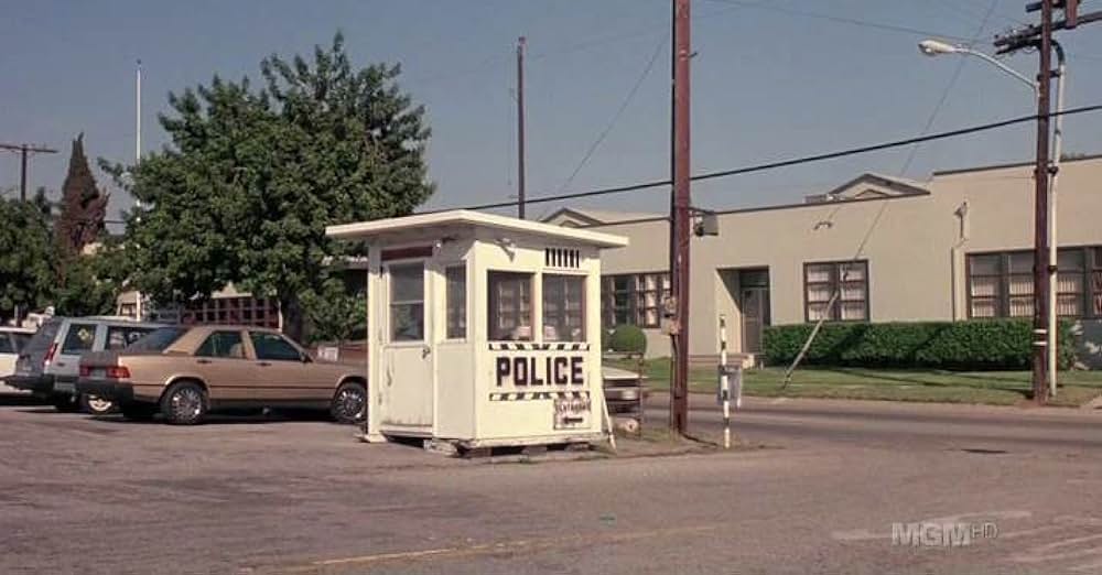 シンシア・ギブの モダン・ガールズの画像