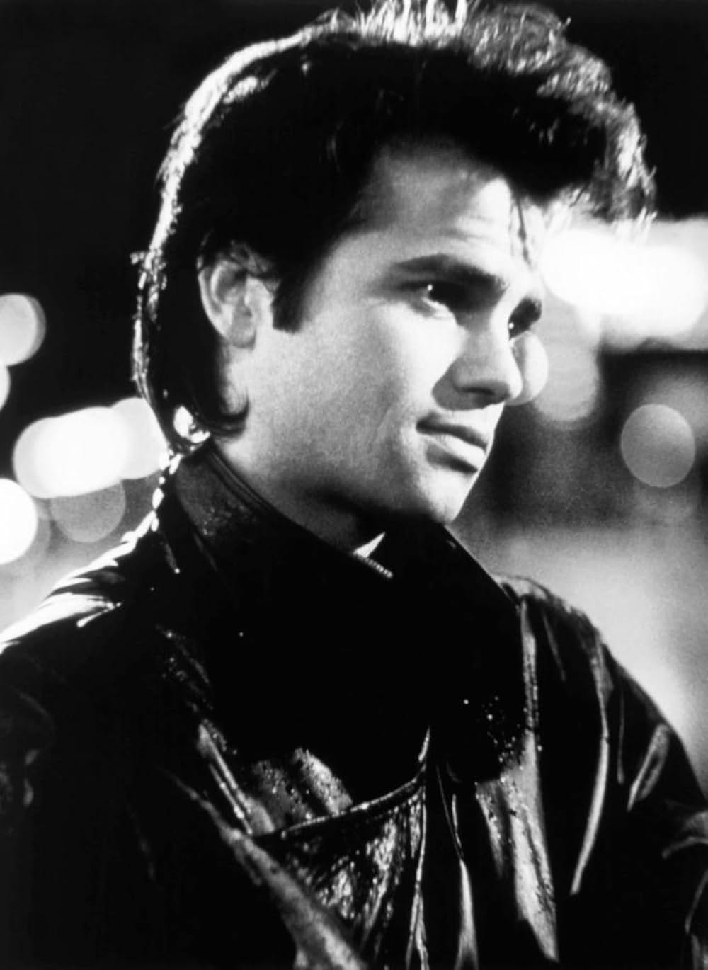 シンシア・ギブの モダン・ガールズの画像