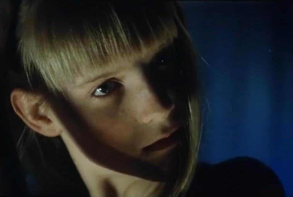 白銀のラビリンス／吹雪に舞う乙女のファンタジーの画像