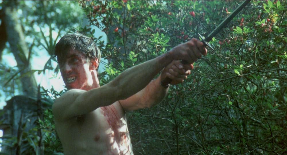 テコンドー・ファイターの画像