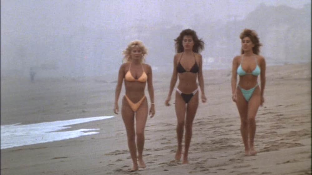 バック・トゥ・ザ・ビーチの画像