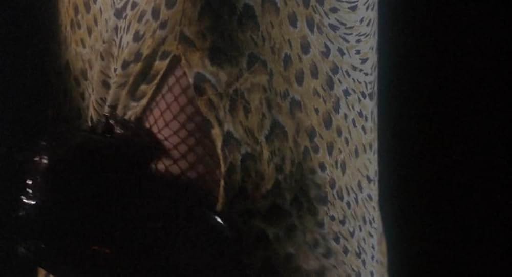 ブリーダーズの画像