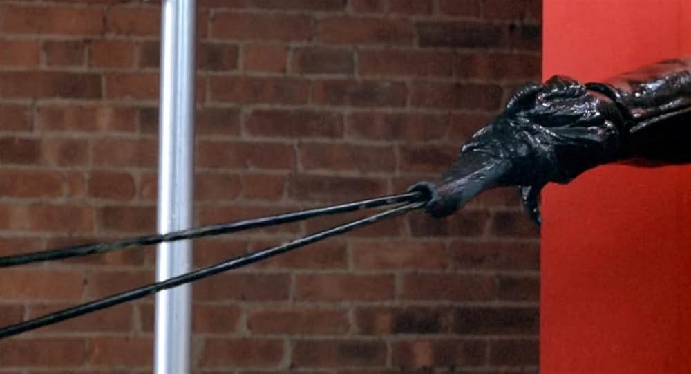 ブリーダーズの画像