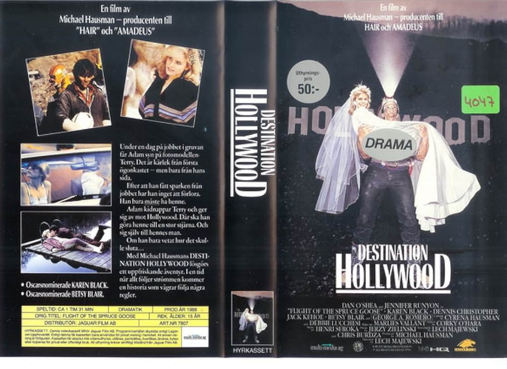 ドリーマーの画像