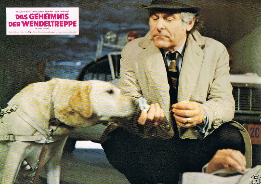 らせん階段の画像