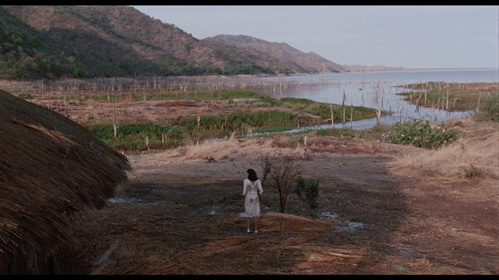 ジェイク・スピード／熱砂の大冒険の画像