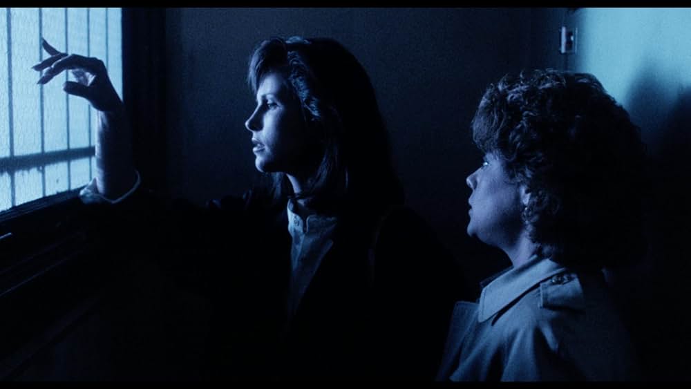 ジェイク・スピード／熱砂の大冒険の画像