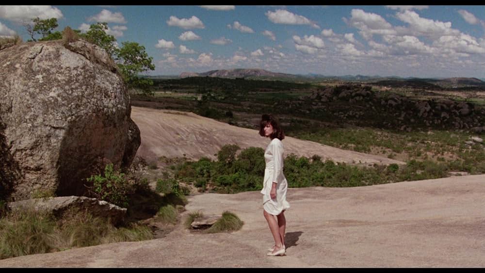 ジェイク・スピード／熱砂の大冒険の画像