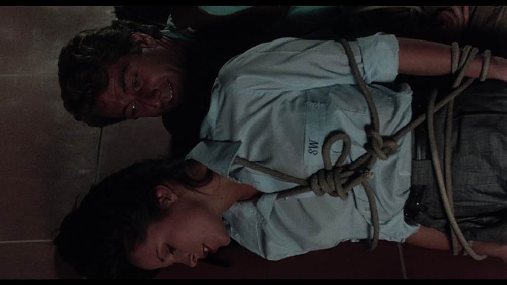 ジェイク・スピード／熱砂の大冒険の画像