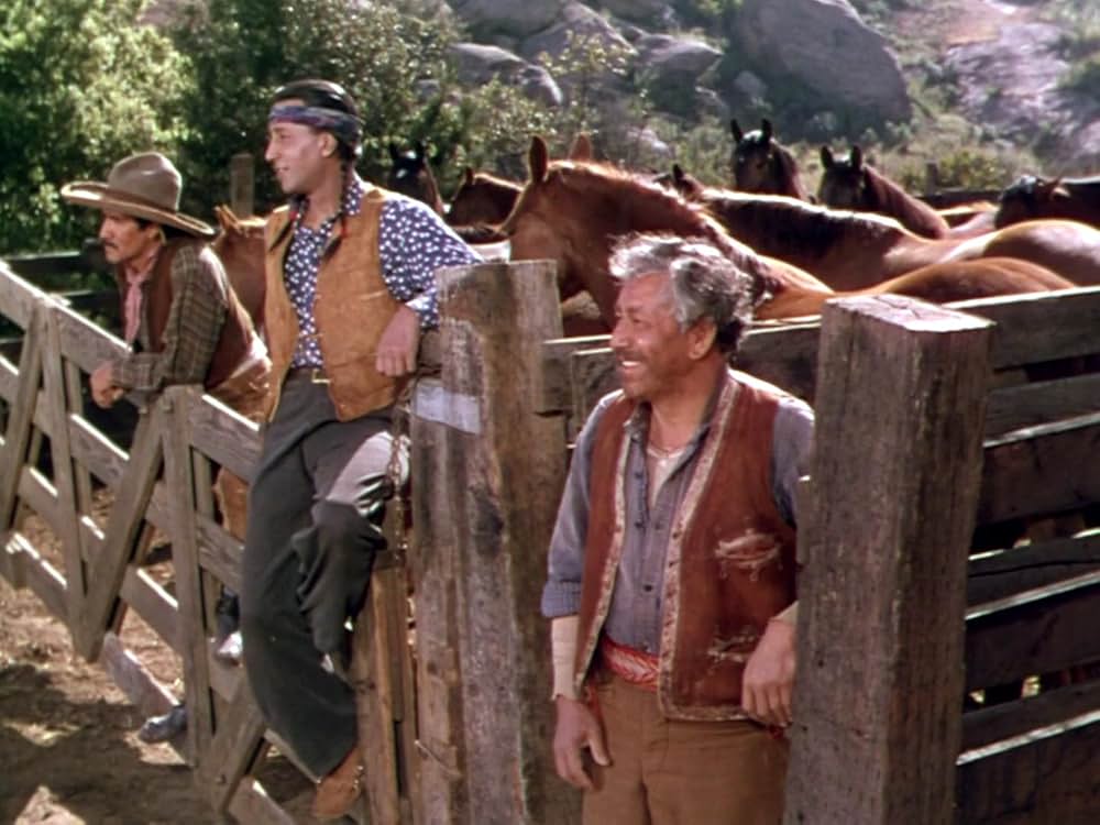 無頼の谷の画像