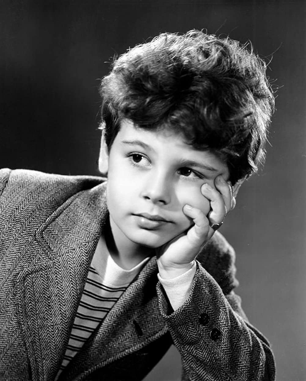 「育ちゆく年」ディーン・ストックウェルの画像