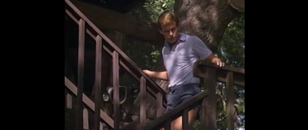 パーティ・キャンプの画像