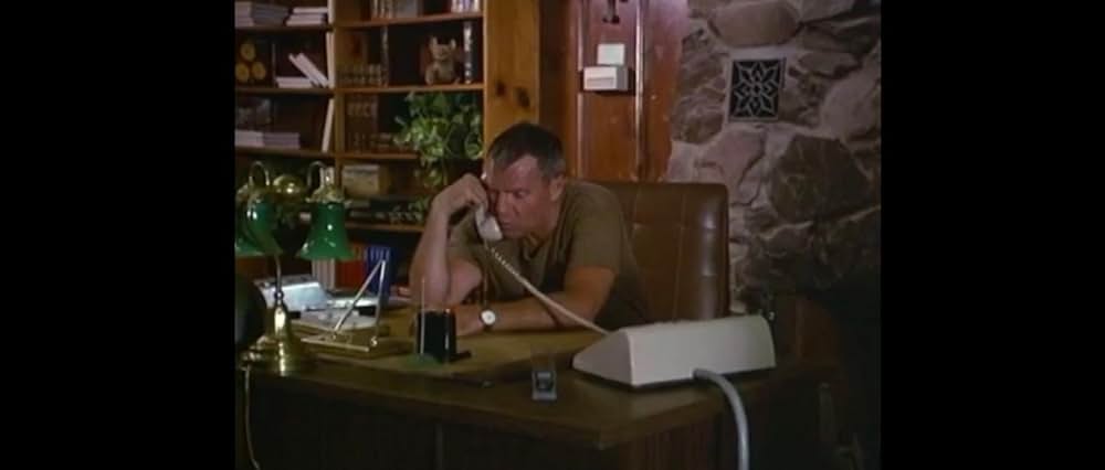 パーティ・キャンプの画像