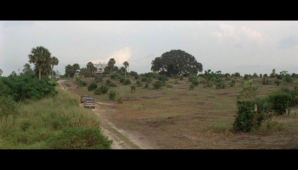 ウィッチ・ストーリーの画像