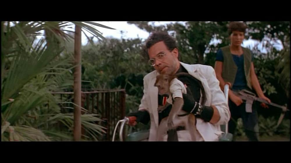 デス・オブ・ザ・ニンジャ／地獄の激戦の画像