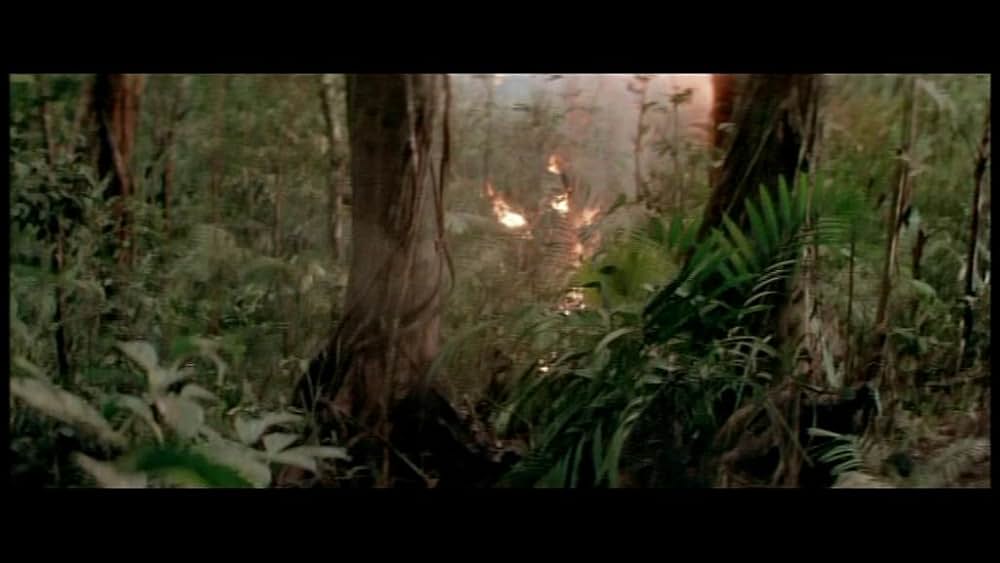 デス・オブ・ザ・ニンジャ／地獄の激戦の画像