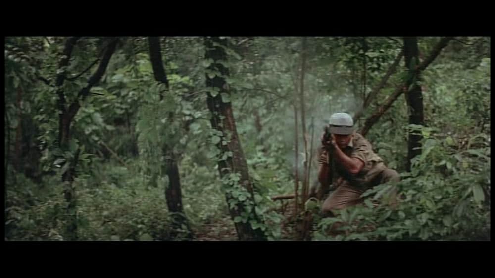 デス・オブ・ザ・ニンジャ／地獄の激戦の画像