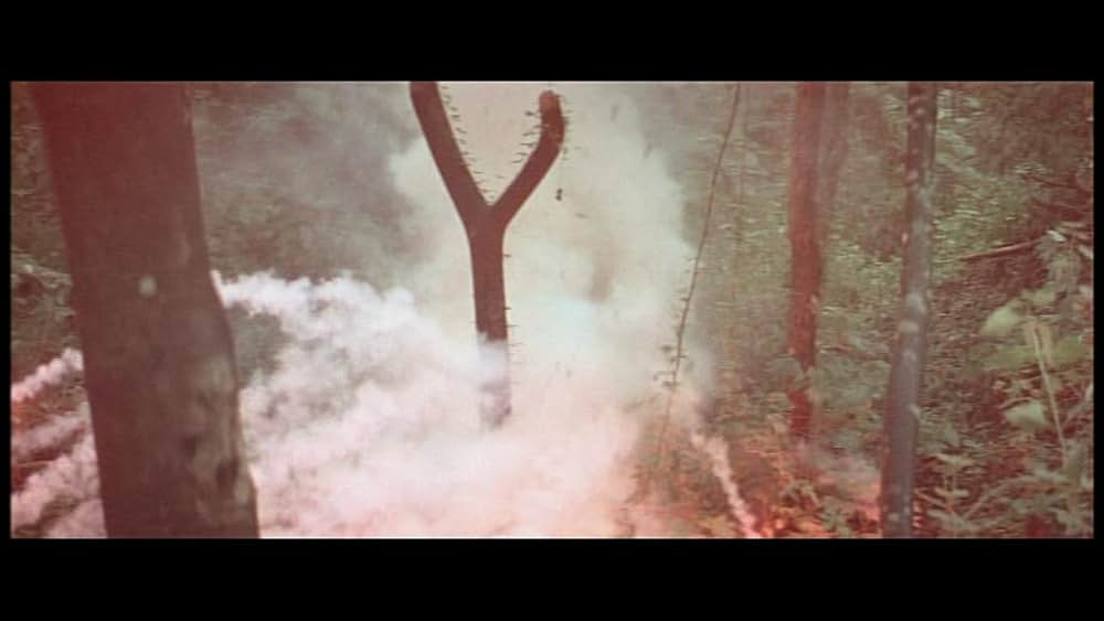 デス・オブ・ザ・ニンジャ／地獄の激戦の画像