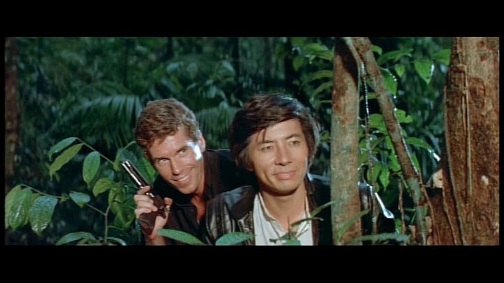 デス・オブ・ザ・ニンジャ／地獄の激戦の画像