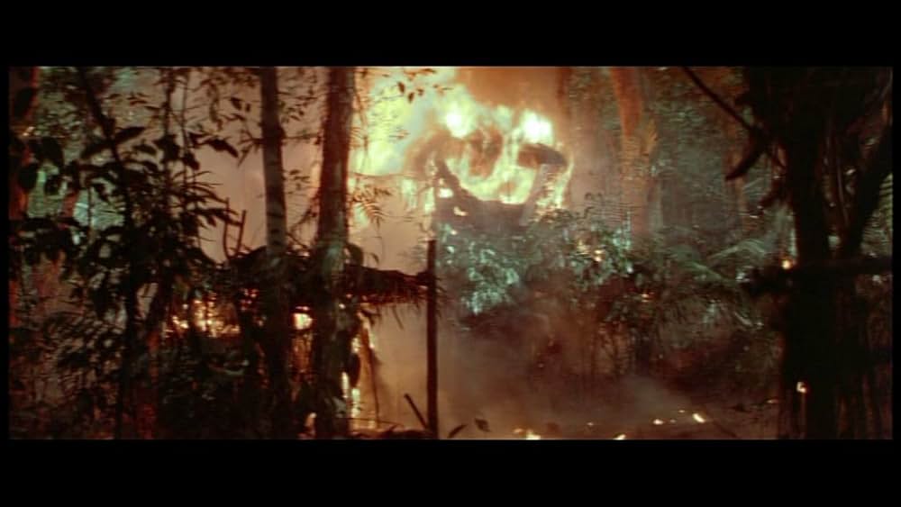 デス・オブ・ザ・ニンジャ／地獄の激戦の画像