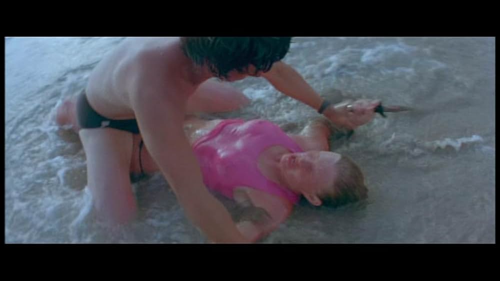 デス・オブ・ザ・ニンジャ／地獄の激戦の画像