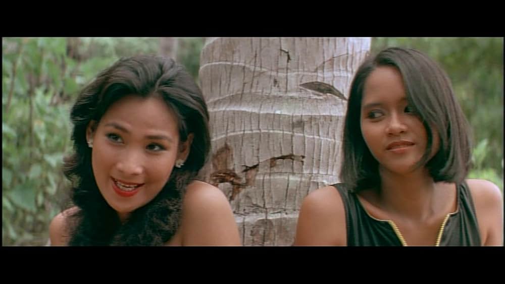 デス・オブ・ザ・ニンジャ／地獄の激戦の画像