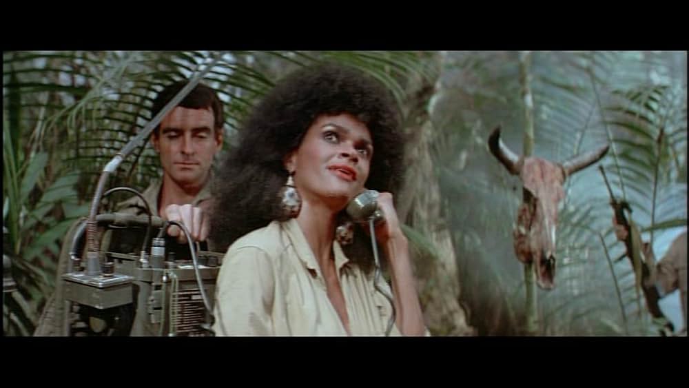 デス・オブ・ザ・ニンジャ／地獄の激戦の画像