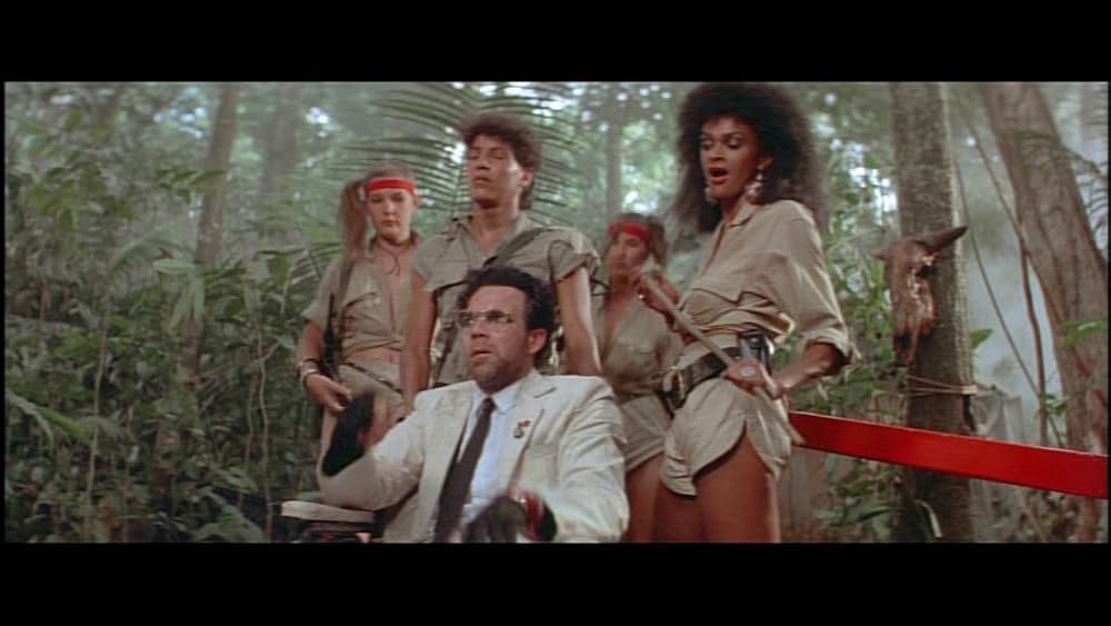 デス・オブ・ザ・ニンジャ／地獄の激戦の画像