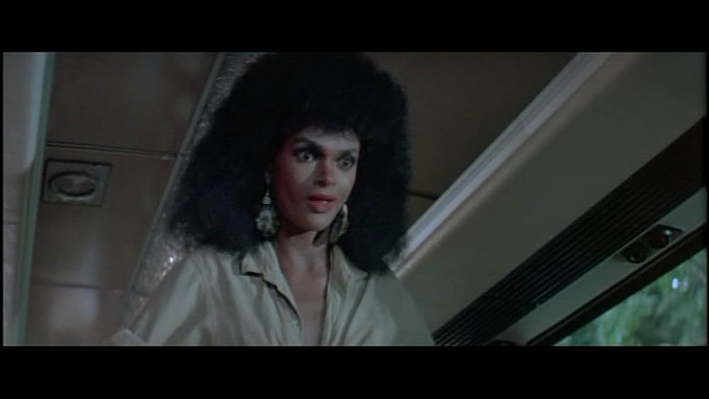 デス・オブ・ザ・ニンジャ／地獄の激戦の写真