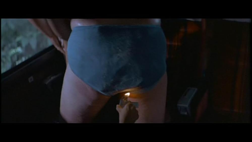 デス・オブ・ザ・ニンジャ／地獄の激戦の画像