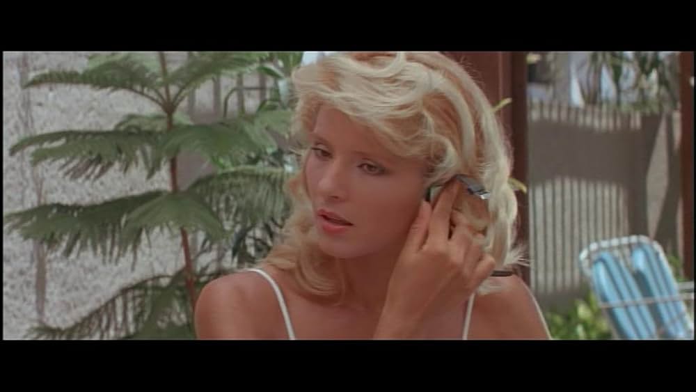 デス・オブ・ザ・ニンジャ／地獄の激戦の画像