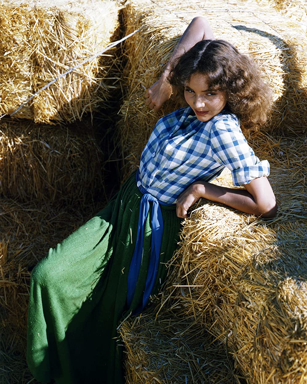 白昼の決闘（1948）の画像