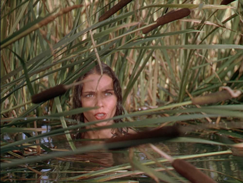 白昼の決闘（1948）の画像