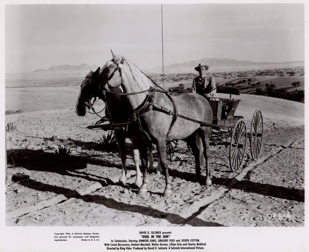 白昼の決闘（1948）の画像