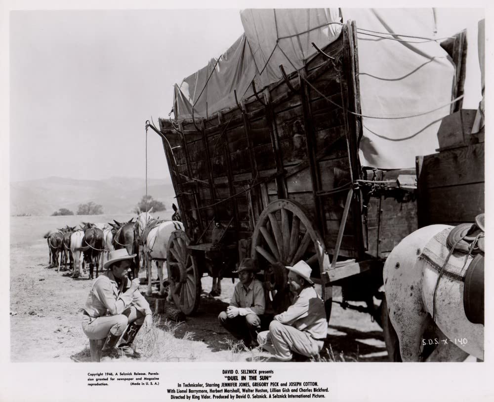 白昼の決闘（1948）の画像