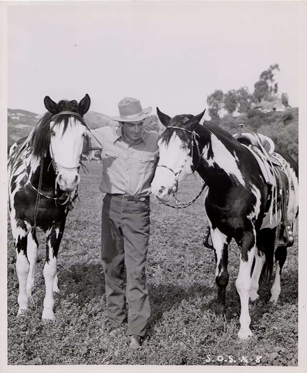 白昼の決闘（1948）の画像