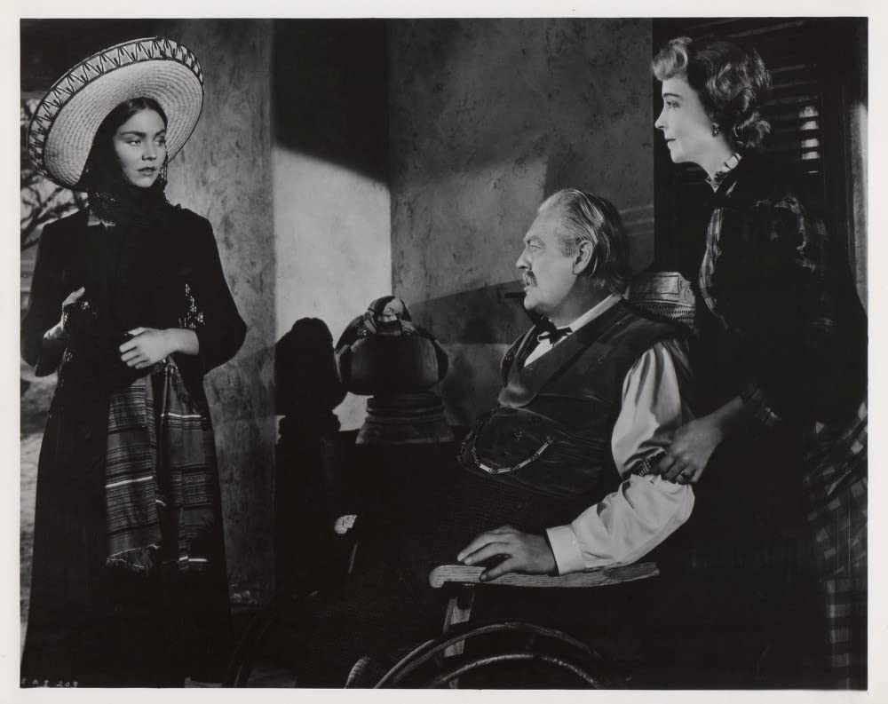 白昼の決闘（1948）の画像