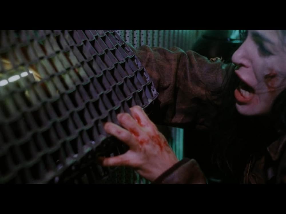 ナイト・ラヴァーズ／私を愛した吸血鬼の画像