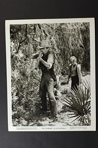 仔鹿物語の画像