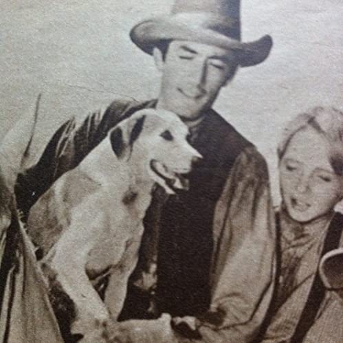 仔鹿物語の画像