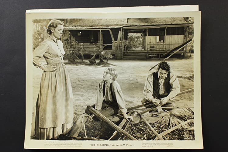 仔鹿物語の画像