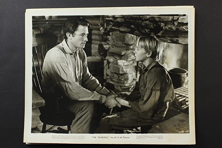 仔鹿物語の画像