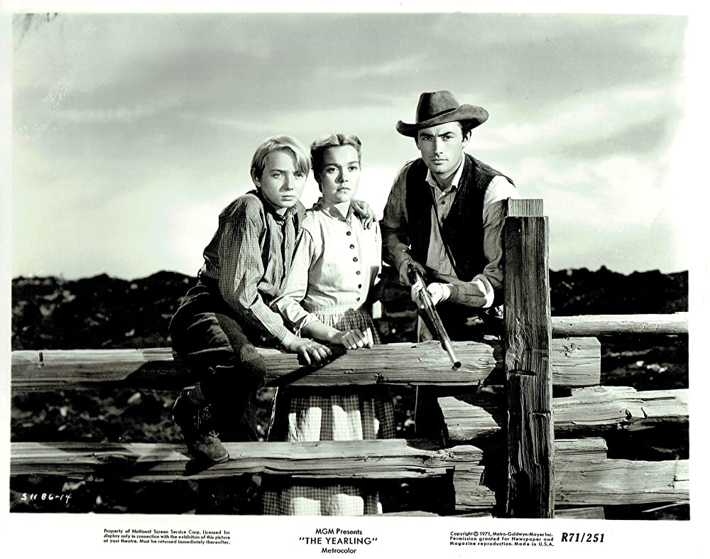 「仔鹿物語」グレゴリー・ペック & クロード・ジャーマン・Jr. & ジェーン・ワイマンの画像