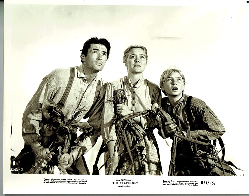 仔鹿物語の画像