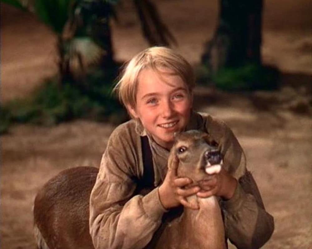 仔鹿物語の画像