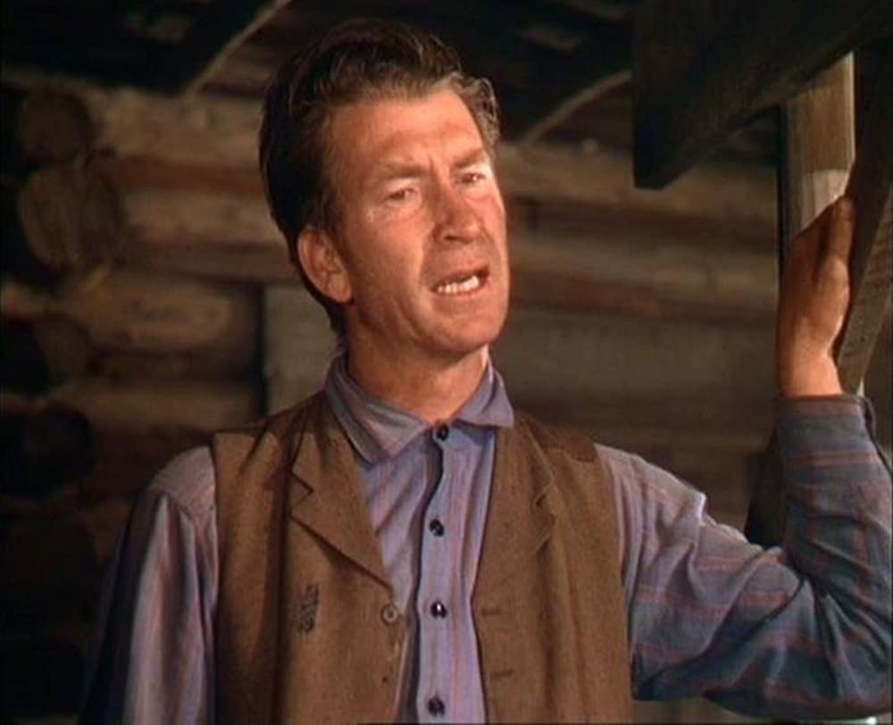 仔鹿物語の画像